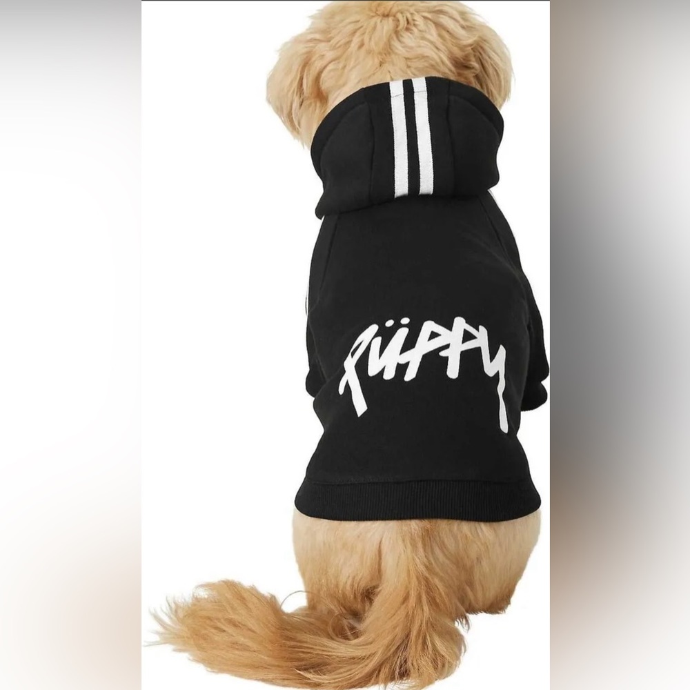 Small Puppy Hoodie